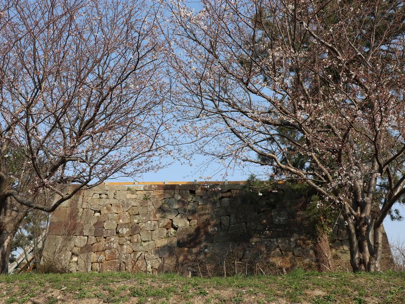 小松高校グラウンド横 青雲の小径 登れるようになった小松城天守台から見る桜と白山 あさぴーのおいしい独り言 小松高校グラウンド横 青雲の小径 登れるようになった小松城天守台から見る桜と白山 あさぴーのおいしい独り言
