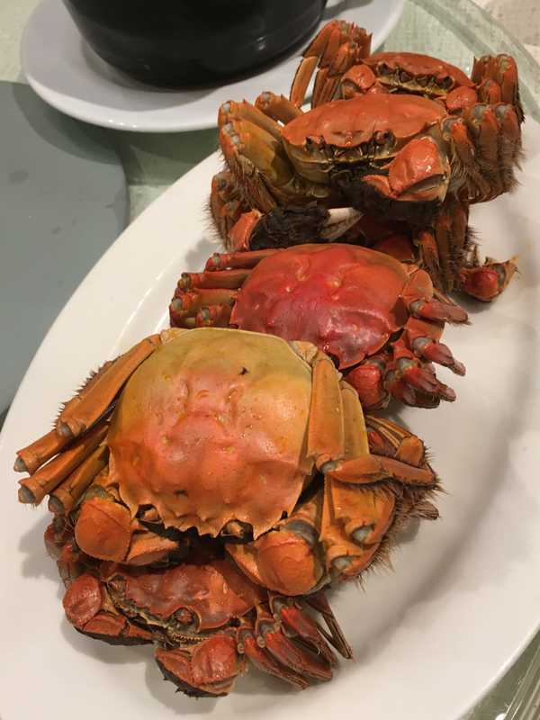 金沙温泉倶楽部 (5)