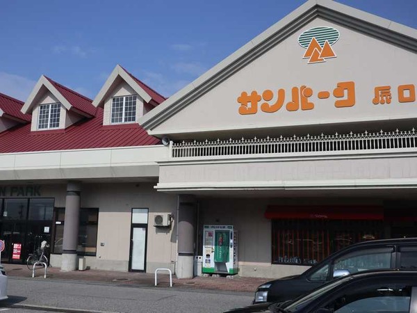 ブラウンドロップ (2)