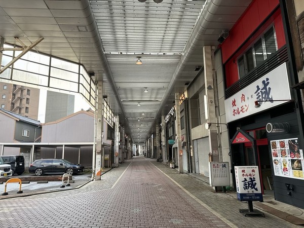 和菜 日なた (2)