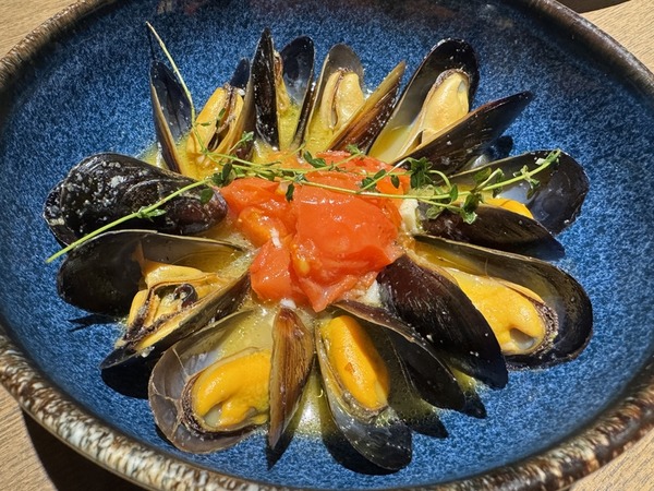 ドンピノキオ 大森店 (15)