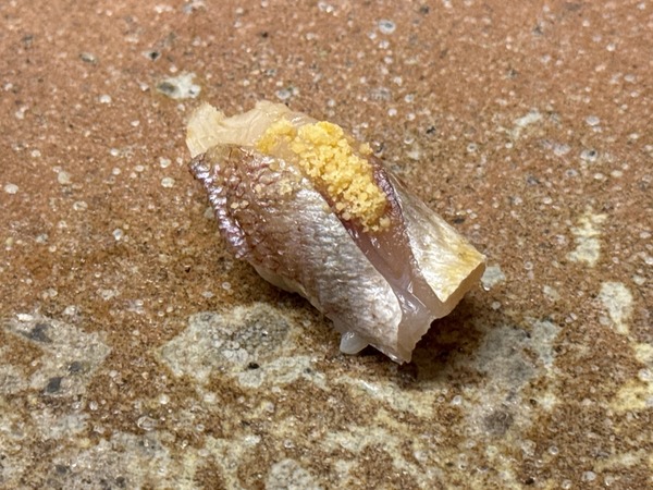 すし家 祥太 (24)