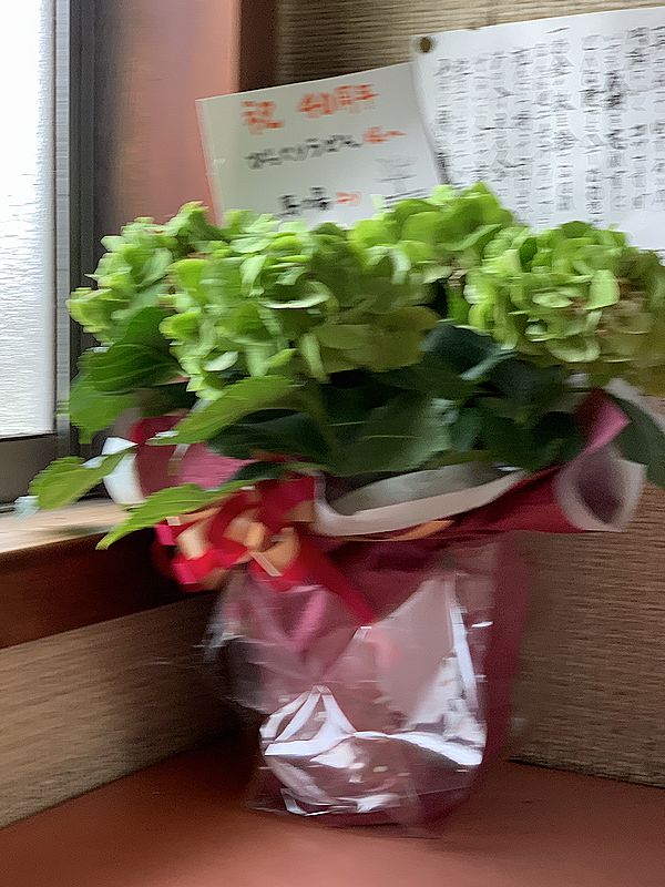 びっくりうどん (8)