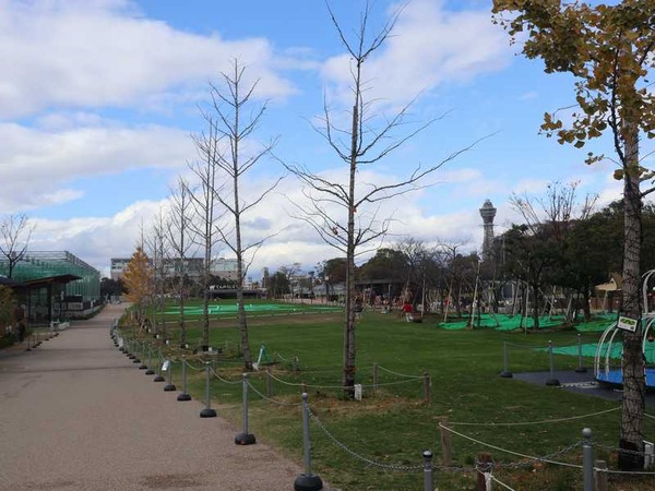 青いナポリ (15)