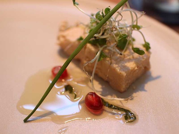 アリギュウ (17)