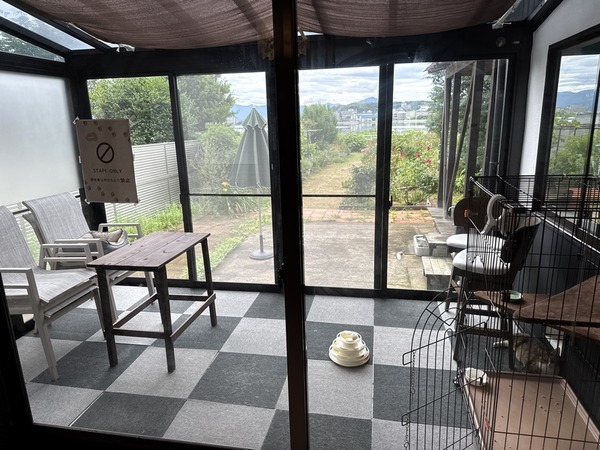 カフェダモン (11)