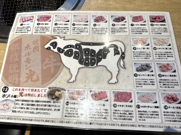 ホルモン光 (6)