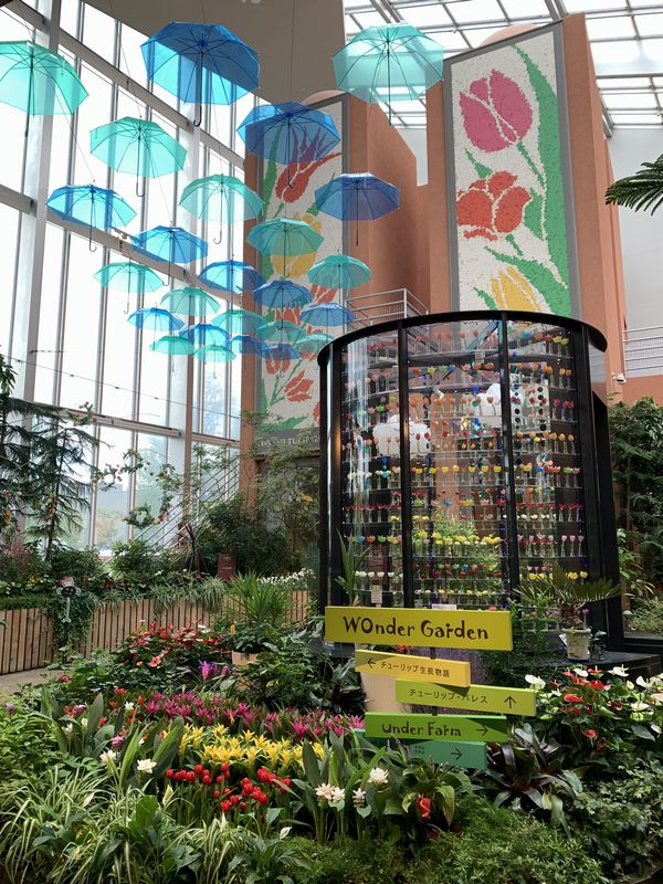 チューリップ四季彩館 (4)