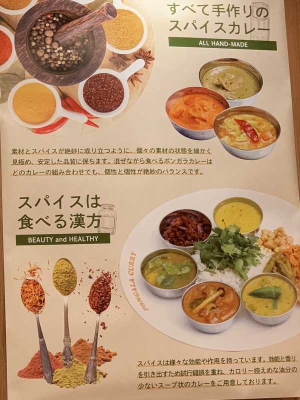 ポンガラカレー (9)