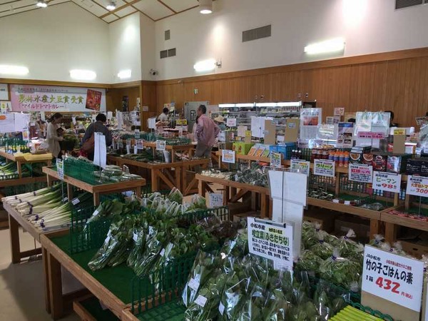 道の駅木場潟 (2)