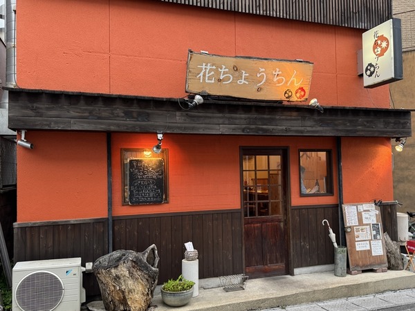 花ちょうちん
