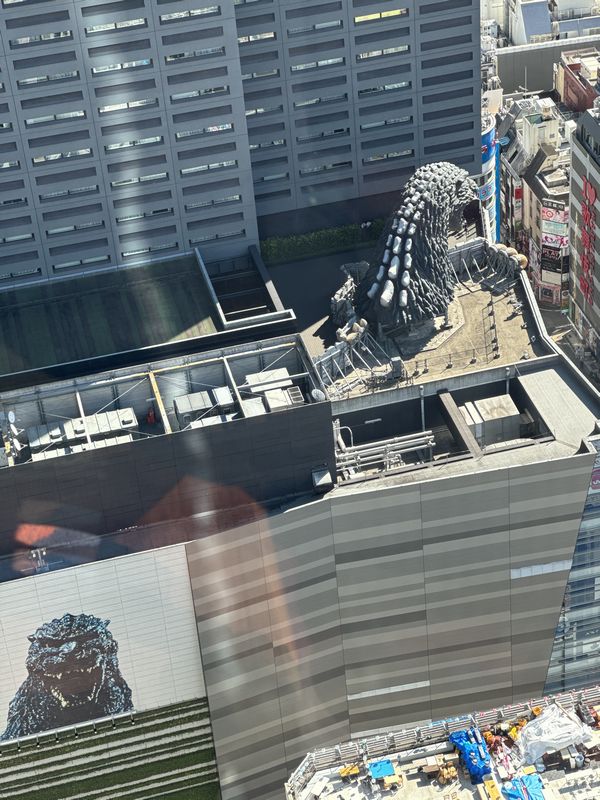 HOTEL GROOVE SHINJUKU (57)