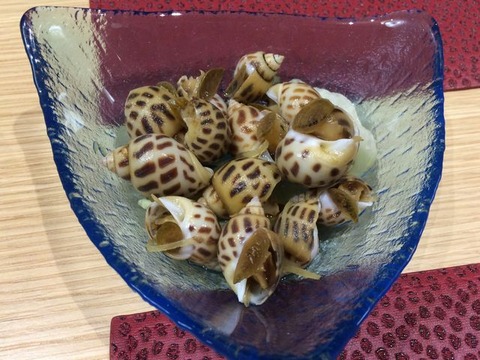 水之恵 (6)