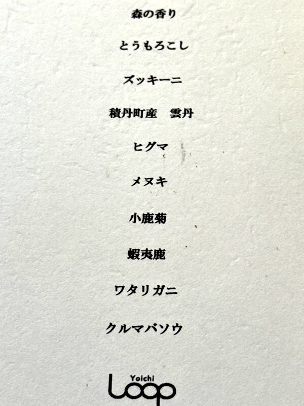 ヨイチループ (10)