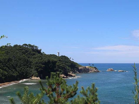 波生 (2)