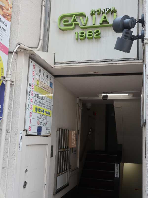 ガヴィアル (12)