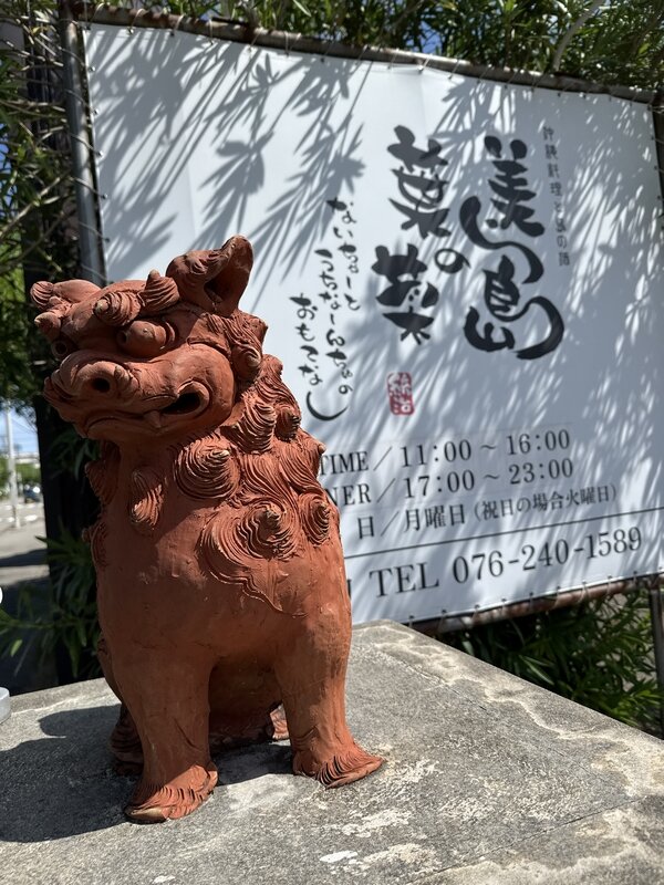 美ら島の葉菜 (23)