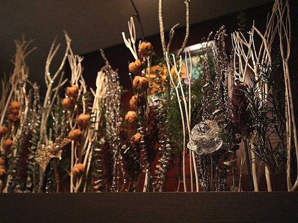 エスメラルダ (5)