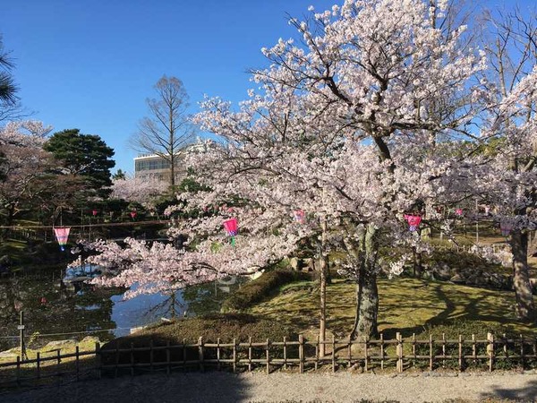 芦城公園 (26)