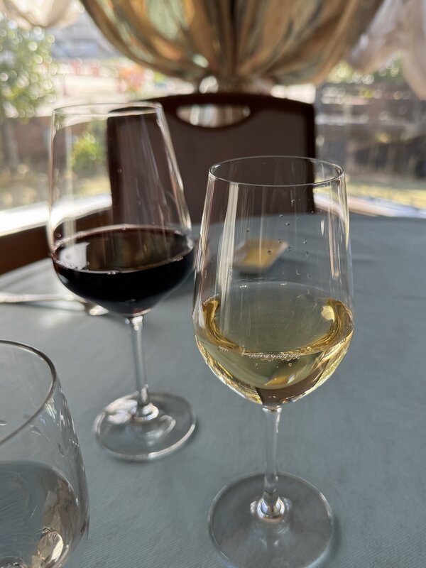 ミュー・レ・ミュー (14)