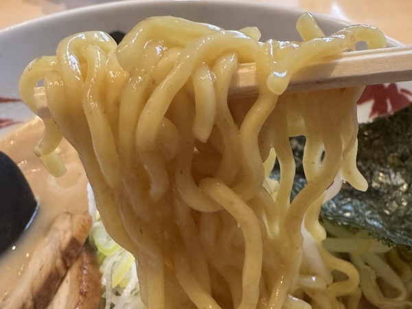 らーめん世界 (6)