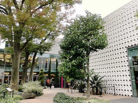 代官山 T-SITE (2)