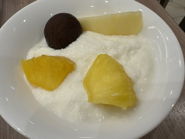 Tマークシティホテル東京大森 (15)