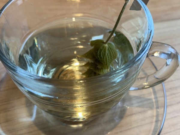 つりや東岩瀬 (18)