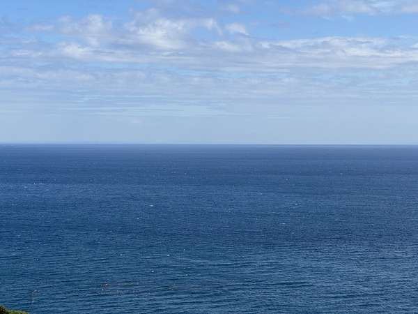 江之浦測候所 (63)