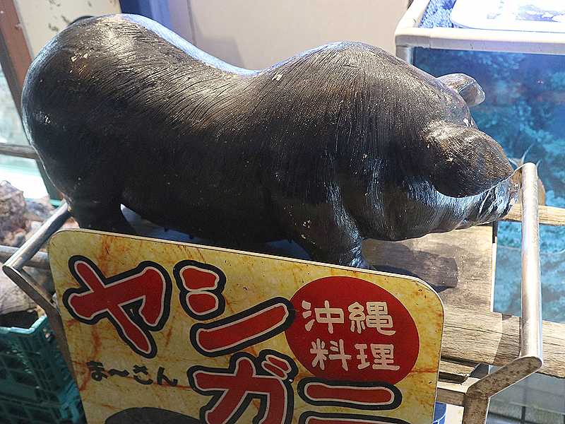 那覇の魚介料理の人気店 ちゅらさん亭 秘密のケンミンshowでも紹介されたイカスミカレー あさぴーのおいしい独り言