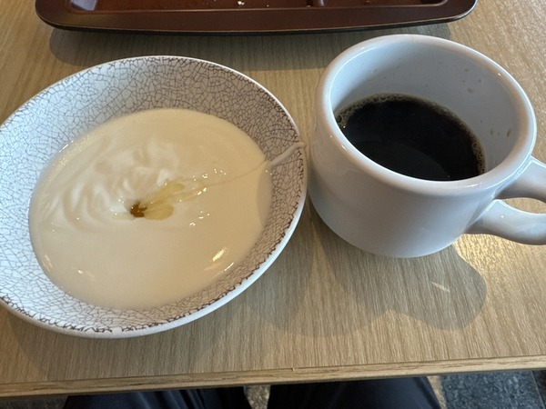 東急ステイ 飛騨高山 (32)
