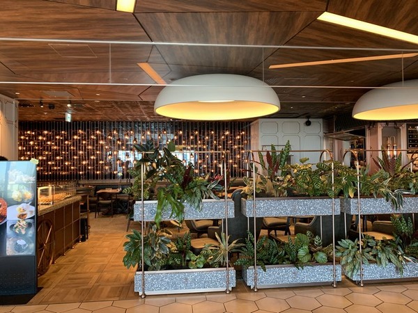 Jose Luis(ホセルイス)