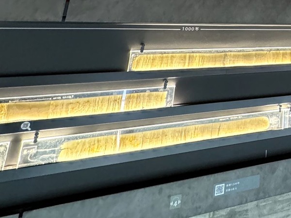 福井県年縞博物館 (16)