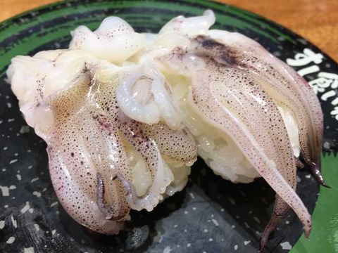 すし食いねぇ (20)