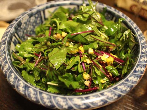 つぐまさん (14)