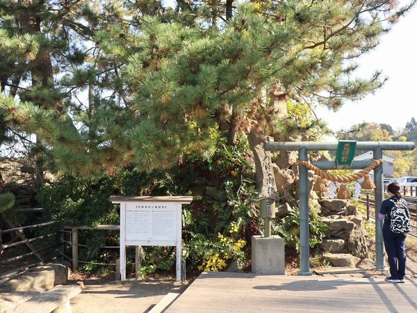 道の駅 雨晴 (6)