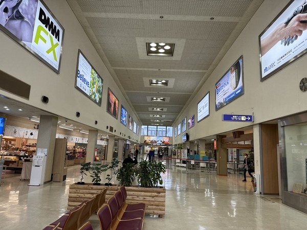 海とハクサン (8)