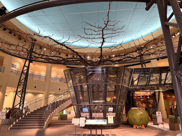 倉吉パークスクエア (6)