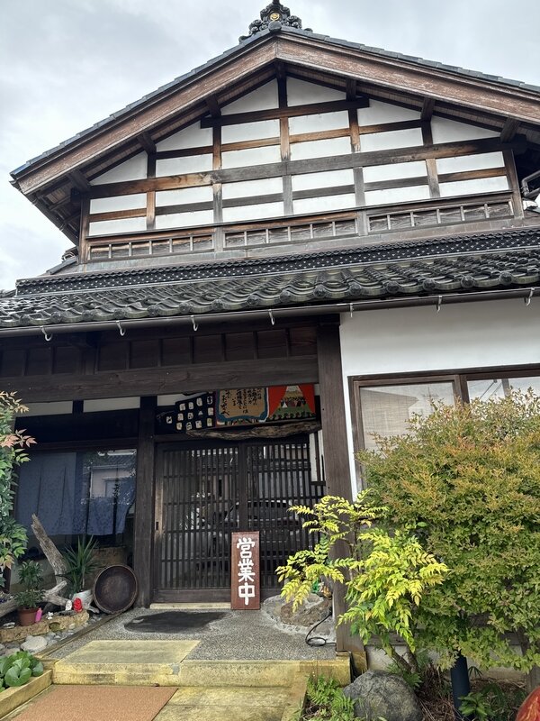 手取川 竹やぶ (8)