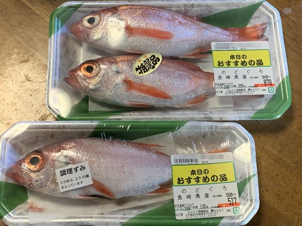 どんたく (16)