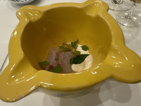 アンチョア (17)