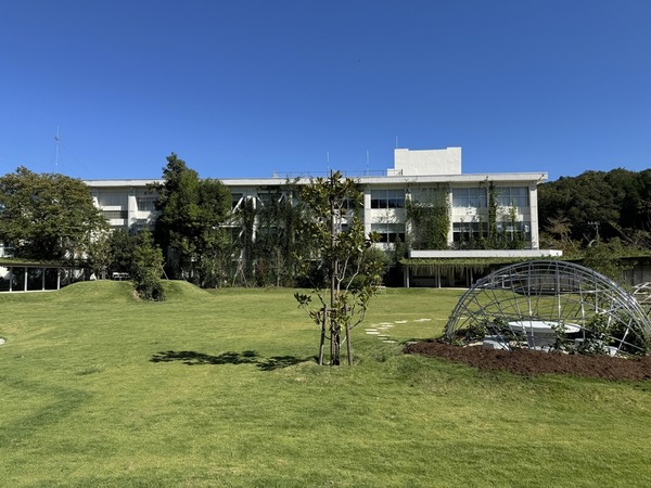 ホームメイドアップルパイmiy (6)