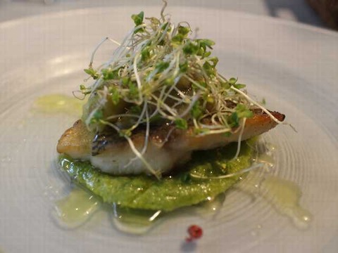 イル・クアドリフォーリオ (16)