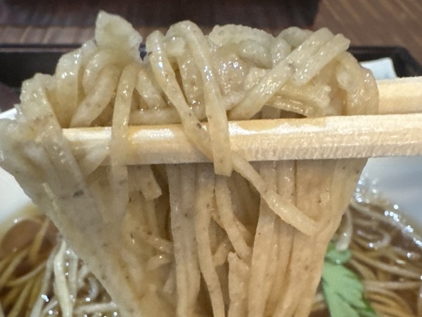 手取川 竹やぶ (5)