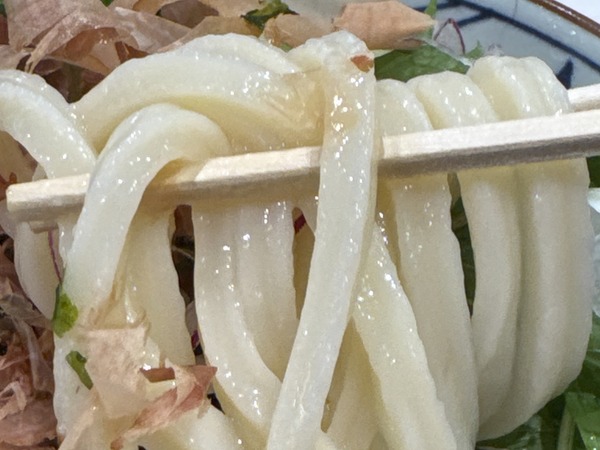 丸亀製麺 (4)