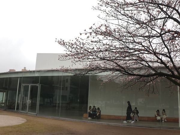 金沢21世紀美術館