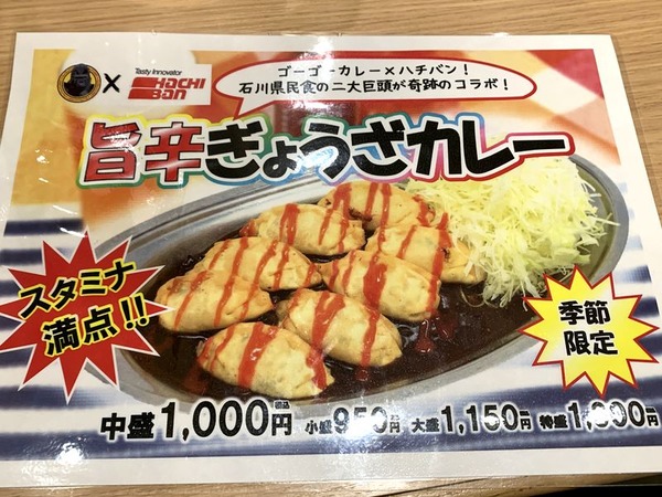 ゴーゴーカレー総本山 (12)