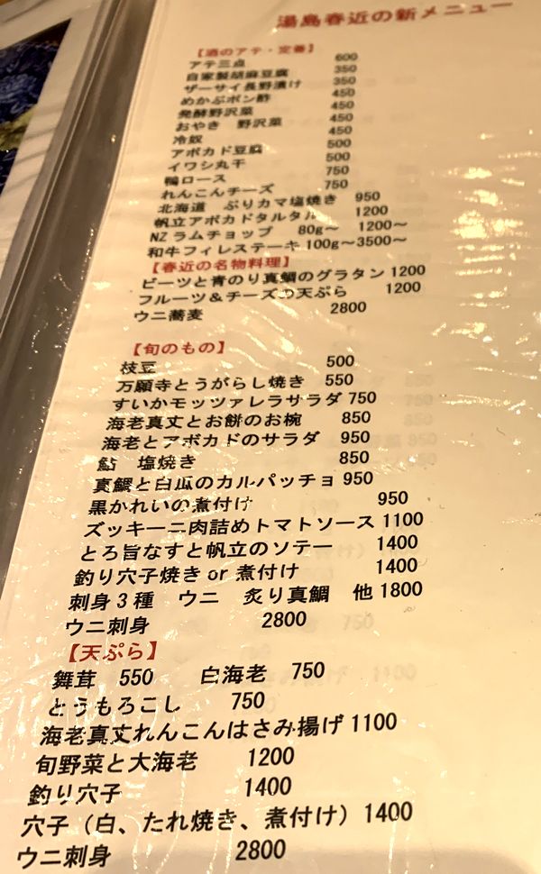 湯島春近 (16)