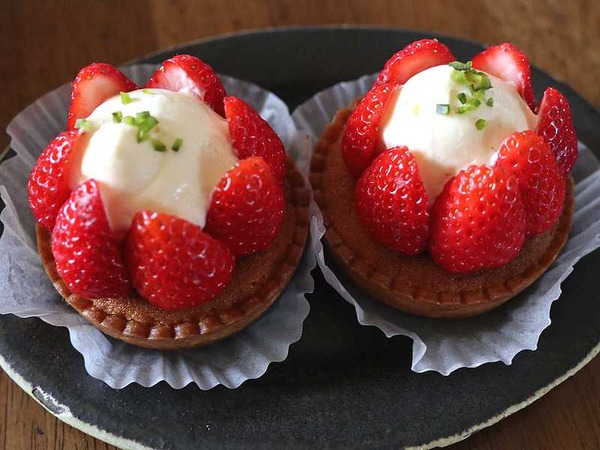 オオカミのいえ (18)