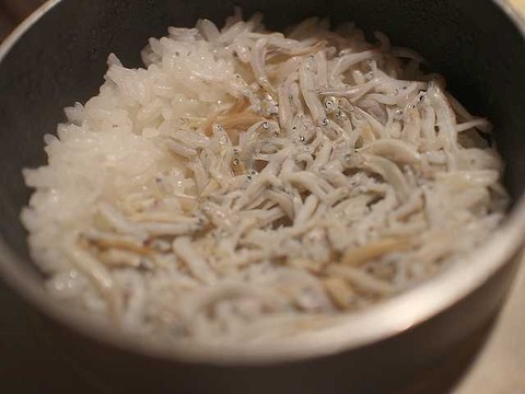 煙燻製バルトリベーネ (8)